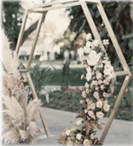 Arche De Mariage Hexagonale à Louer – Décoration Cérémonie